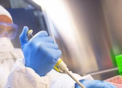 شناسایی نقش سلول های بنیادی در درمان کرونا به وسیله پژوهشگران ایرانی